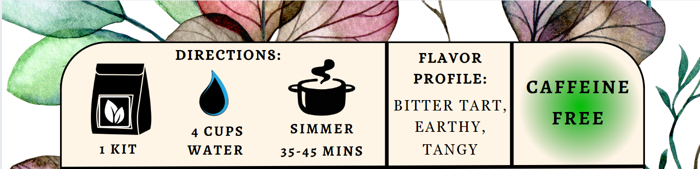 Elderberry Syrup Kit