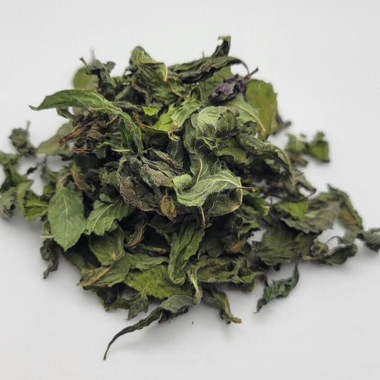 Wild Spearmint